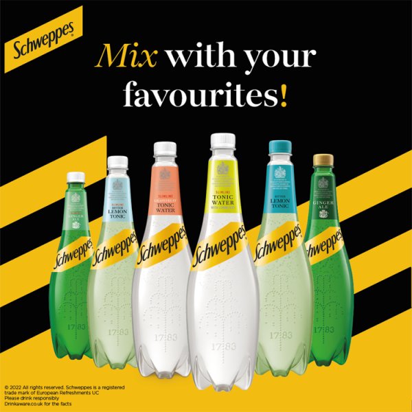 Schweppes Canada Dry Ginger Ale 6 x 1L Bottles – image 2