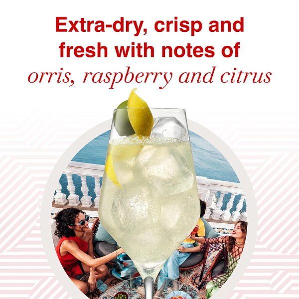MARTINI Extra Dry Vermouth Aperitivo, 75cl Bottle – image 2
