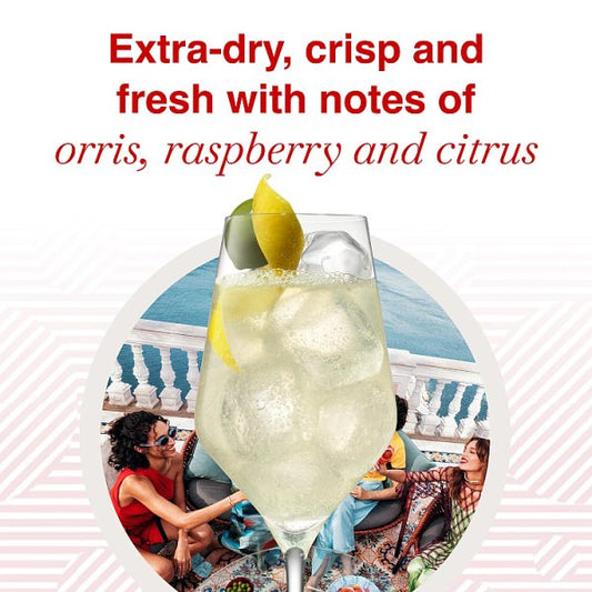MARTINI Extra Dry Vermouth Aperitivo, 75cl Bottle – image 2