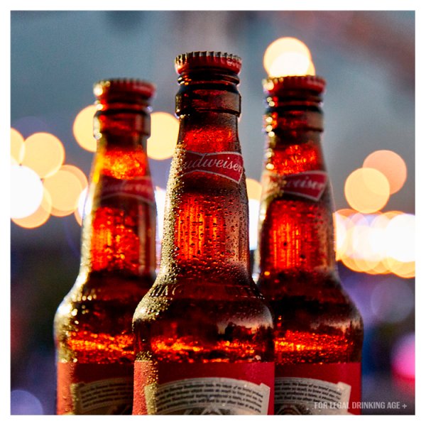 Budweiser Lager Beer Bottles 20 x 300ml – image 3