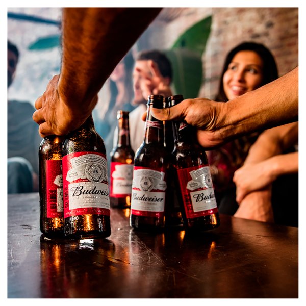 Budweiser Lager Beer Bottles 12 x 660ml – image 2