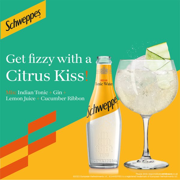 Schweppes Tonic Water 24 x 200ml NRB – image 2