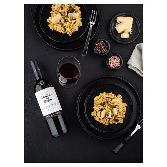 Casillero del Diablo Merlot 6 x 75cl Bottles – image 2
